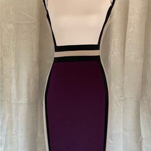 Calvin Klien Purple and Black Dress